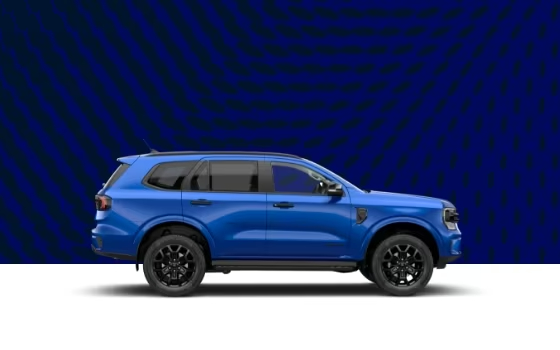Ford Everest Service Price