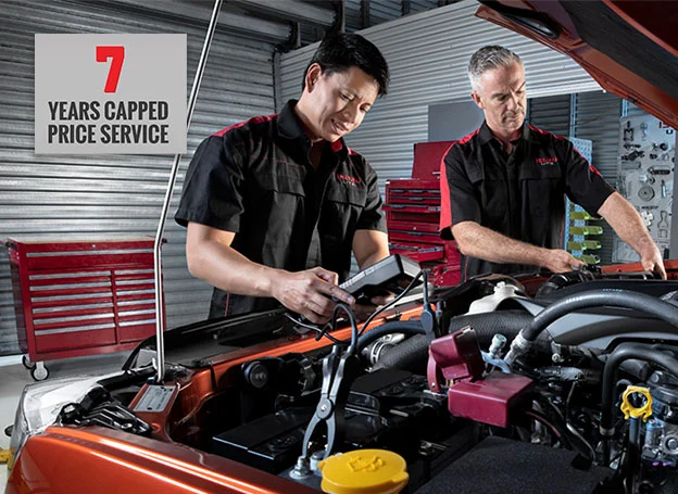7 Years Capped Price Servicing>