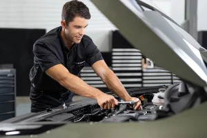 7 Years Capped Price Servicing