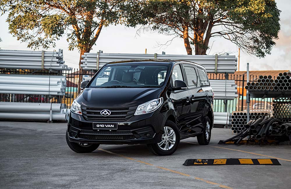 ldv g10 van fleet