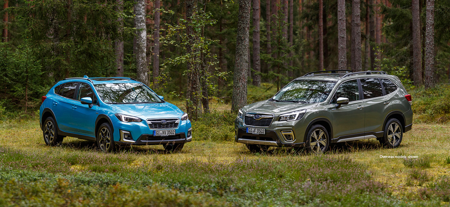 Image of Two Subaru Vehicles in a Forest Setting
