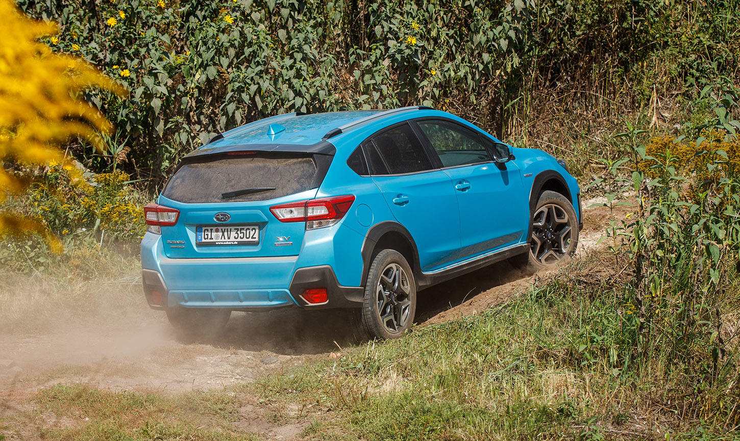 Subaru vehicle driving through a scenic forest.